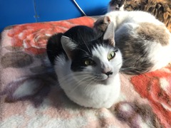 3051E6B9-EEC9-4835-A667-F8AE32F852D3