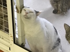 64F65F75-8CE6-4BFF-A6FB-09C65581A539