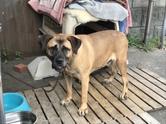 F2A28686-56C5-4001-8DCF-6B128F66B113