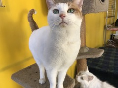 FBC7F197-26A1-460D-9388-784E1B893CCD