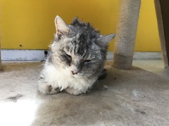 CD61B7E8-8EB7-4332-8E73-37758D71E102