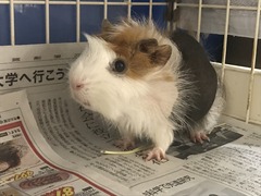 D2BD9DD1-BE38-498E-BC2A-D99B59F78ACA