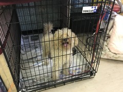 2D6F1266-4C8D-4DA1-866B-A4A65E1E9A01