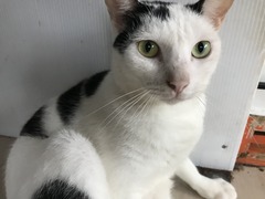 FABD7271-BFB8-48FD-B122-1EF2B5B03913