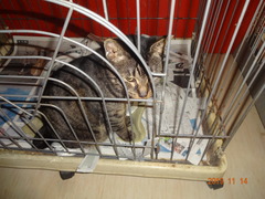 DSC06702