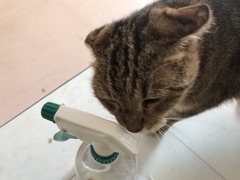 3E6B9560-D33A-40C7-9A63-F1FCD2EF7FE2