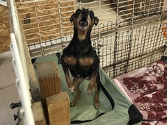 3E0A2AF0-B351-44E7-ACB4-10C2B4E28FAB