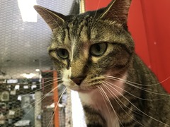 1168A812-2A32-4D7F-A030-9C8CAF367556