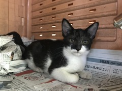 06C213AA-14A2-4BB4-908A-07476EDD0173