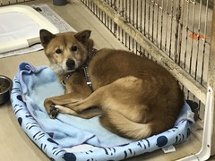 BAD0B283-7B55-48AE-94C2-A9BBC71DBB96