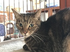 AB9351D1-8441-4717-89A4-B492E7CB643D