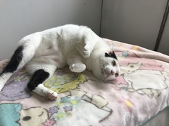 4BC44BF6-55F7-4527-8E4F-4A4689462D89