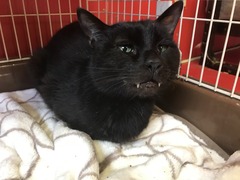 3D845D99-B250-4854-8AF3-7723AF89FC51