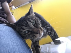 CF693069-FC6A-4578-B4F3-4EBB2991C9A5