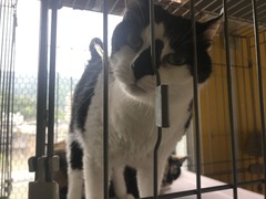 3F76D646-5DC6-443C-9AD4-9A94ECC69D0C