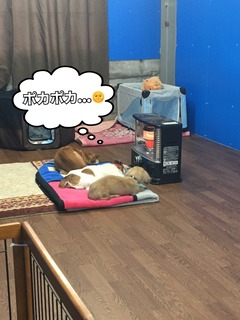 0194903E-BB18-4FE6-9E50-8AC42D43D8FF