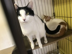 7672D13F-07B5-4E5D-9EC5-FF7AC851DB90