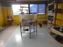 DSC07102