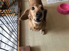 B9F69A63-AAF8-42F1-A5EF-6B6FF409616F