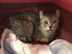 0495A3E8-2151-40B6-9D64-AB283EFF5B29