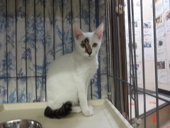 DSC08662
