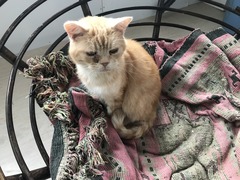 8354E1A7-AD76-4C76-A7D0-756F0BAAD923