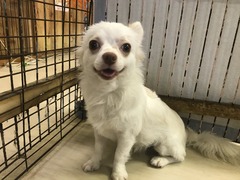 FFEF012D-2B48-4567-A7D8-E25BB370329A