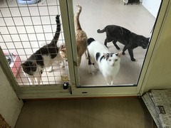 CC613397-63AC-42DC-93B0-3F421F84BBDC