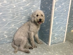 FA70B814-0568-4375-AE15-F8821F0E96CB