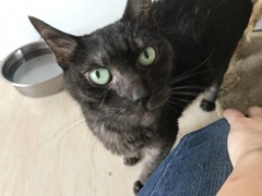 2CA9F2B3-4AE0-4A8D-9575-9491623F5B1F