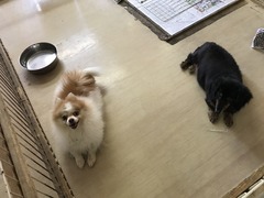 280416A1-A97C-42CB-9678-BC27F862731F