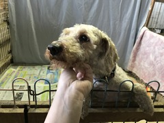 A9B8172D-7547-41CD-8E53-7B9F207C9FA4