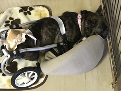 D7D1273E-5D98-46D6-9164-27FEB65E462A