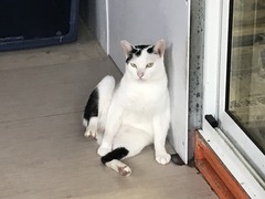 219E6D18-E6BA-47ED-BB9F-329B6325DCFB