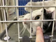 82A3681E-E834-4E14-89A5-4B13CF2B42CD