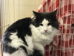 297BAE03-1A49-4FF8-A04C-97F72BAD92DB