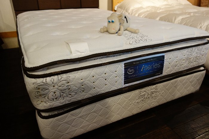 サータ社のアイシリーズのファームピローソフトをオークランド581に  