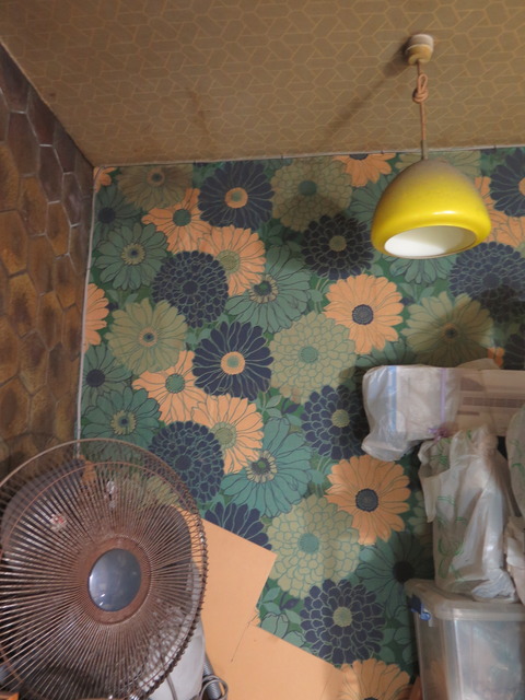 20170128112313_IMG_8290