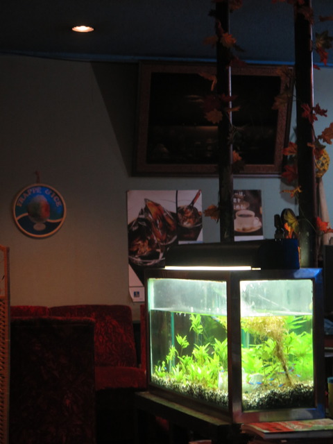 20160907184440_IMG_3884