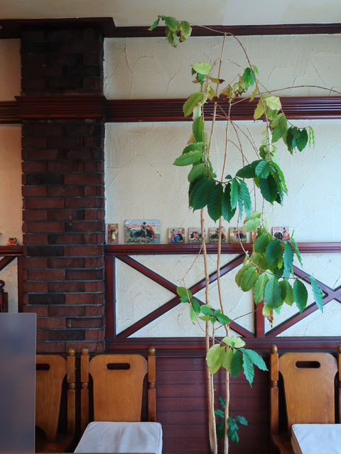 COFFEE ムラ (MURA)