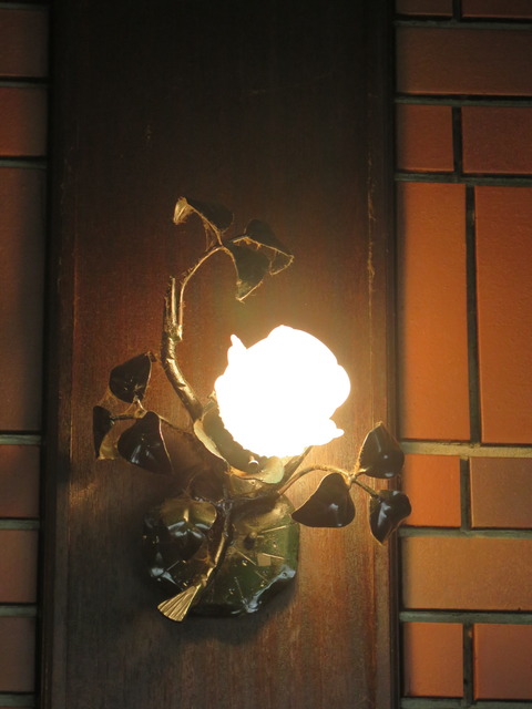 20170214154942_IMG_8671