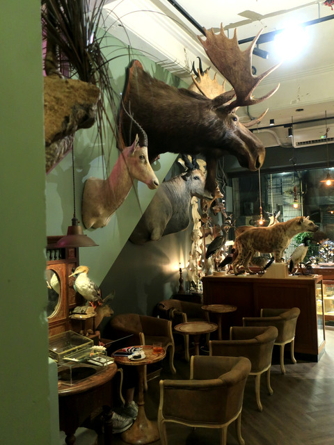 遷鳥陳列所 Cabinet Of Migrants