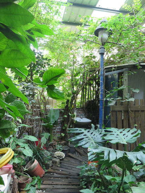 20161218140945_IMG_6733