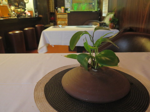 20160908164510_IMG_4062