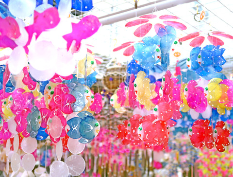 番外編・寺泊紀行