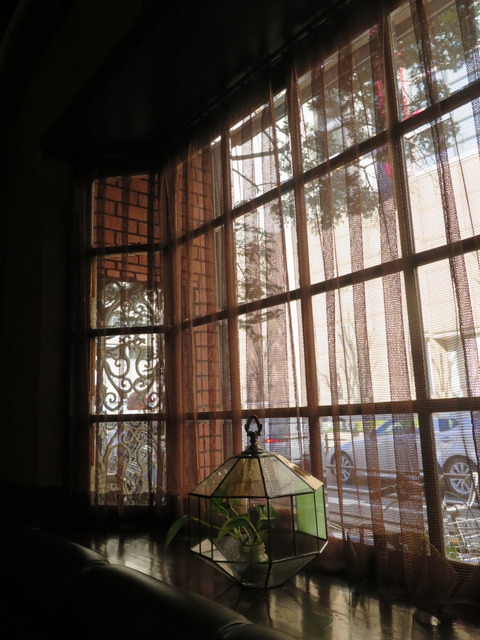 20170212155201_IMG_8637