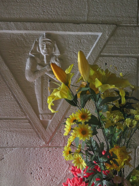 20170128112321_IMG_8292