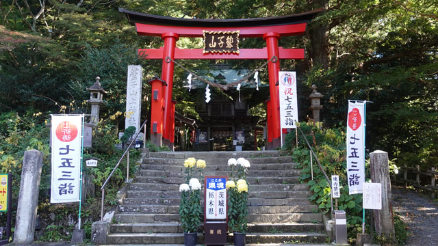 フクロウ 神社