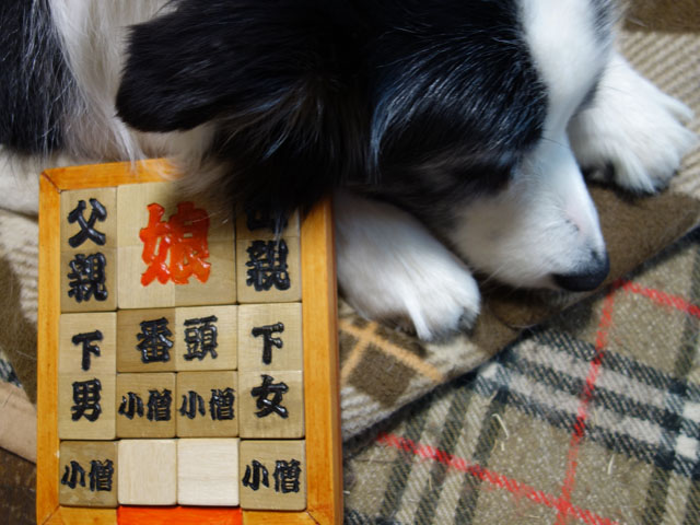 箱入り娘 ジュンとネネ