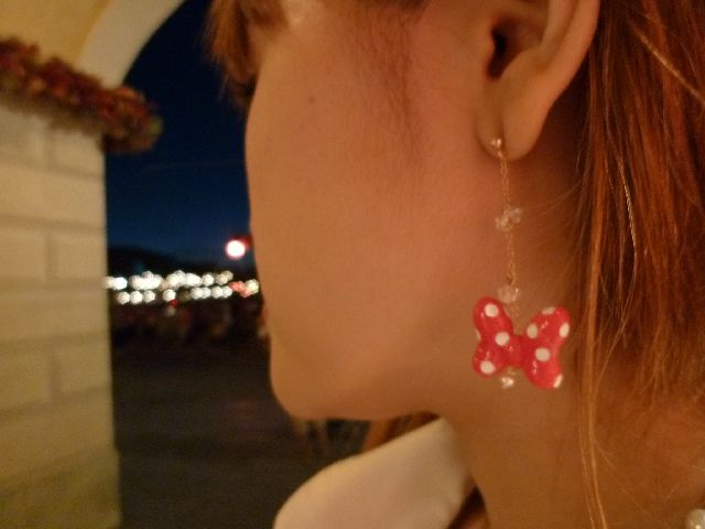 ディズニーとチャンドゥ大好き じゅりまなブログ ディズニーリゾート